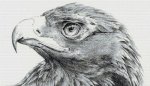 (image for) Eagle